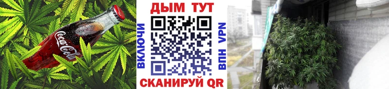 Купить где  Новоалтайск  Cannafood конопля 