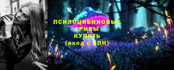 гидропоника Армянск