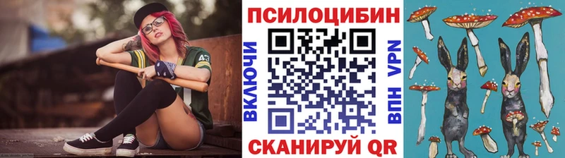 Псилоцибиновые грибы прущие грибы  Купить  Новоалтайск 