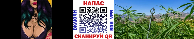 МАРИХУАНА марихуана  Купить закладки  Новоалтайск 